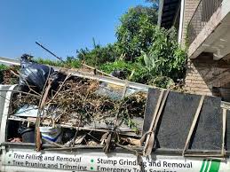 Best Estate Cleanout  in Centreville, AL